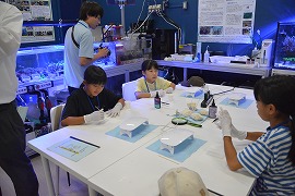 �ʐ^�@�𗬃��N���G�[�V����