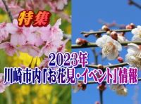 2023年3月に掲載した 特集「お花見・イベント情報」