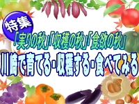 2023年10月11月に掲載した「実りの秋・収穫の秋・食欲の秋」 特集:川崎で育てる・収穫する・食べてみる