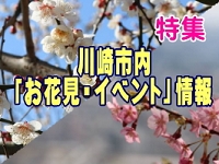川崎市内「お花見・イベント」情報