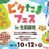 ピクたまフェスのチラシ