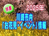 特集:特集:川崎市内「お花見・イベント」情報