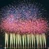 こども黄緑クラブのちらし