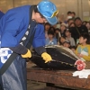 マグロの解体ショー